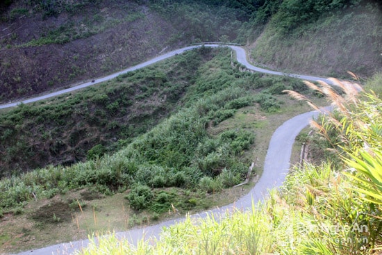 Cách trung tâm xã biên giới Tam Quang (Tương Dương) chừng 15km, men theo tuyến đường liên bản như dải lụa mềm vắt trên sườn núi để đến với bản Tùng Hương. Ảnh: Hồ Phương