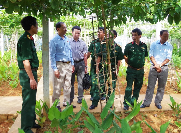 Thủ trưởng Bộ Chỉ huy quân sự tỉnh, lãnh đạo huyện Kỳ Sơn thăm mô hình trồng chanh leo do Đoàn KTQP 4 triển khai.