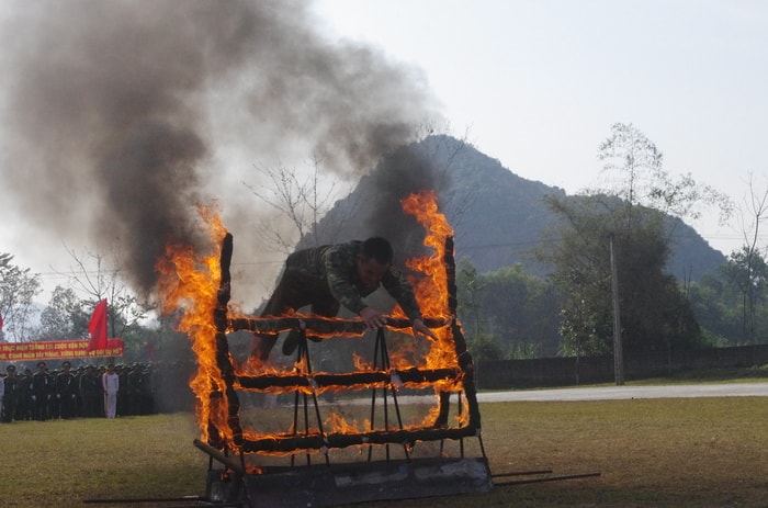 Và dũng cảm, khéo léo khi bay qua vòng lửa. Ảnh: Tường Hiếu