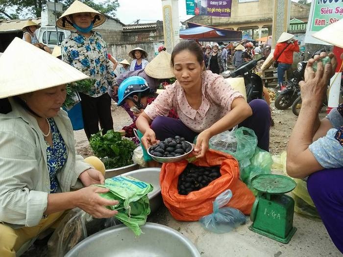 Trám là mặt hàng rất được ưa chuộng ở các chợ; hiện tại giá bán lẻ từ 65.000 - 70.000 đồng/ kg. Ảnh: Đình Hà