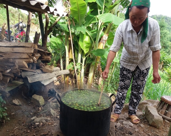 mùa bo bo. Ảnh: Lữ Phú