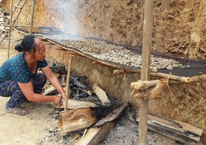 mùa bo bo. Ảnh: Lữ Phú