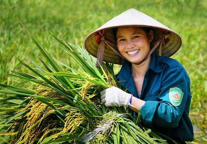 Niềm vui được mùa - Tác phẩm đạt Huy chương đồng. Tác giả: Hồ Đình Chiến (Nghệ An) 