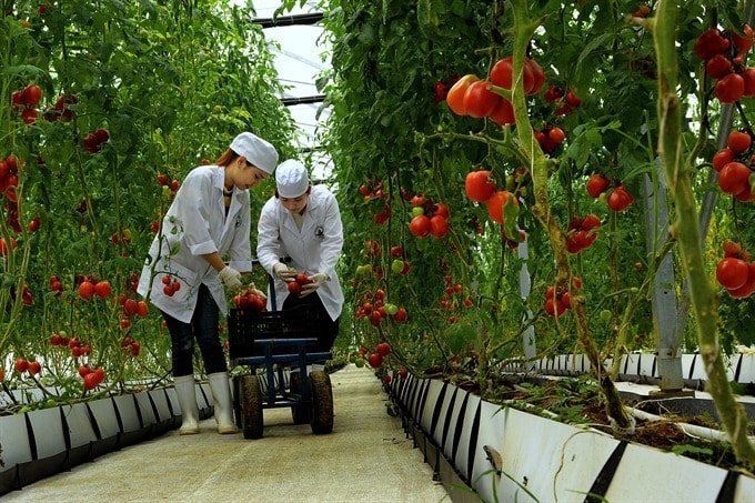  Nhật Lệ vươn cao -Tác phẩm đạt Huy chương Đồng. Tác giả: Lê Đức Thành (Quảng Bình)