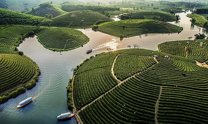   Mô hình kinh tế nông thôn mới - Tác phẩm đạt giải Khuyến khíchTác giả: Hồ Sỹ Minh (Nghệ An)