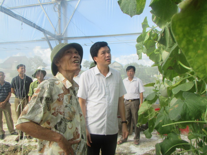 Nguyên Bộ trưởng Bộ Thương mại Trương Đình Tuyển thăm mô hình trồng rau an toàn tại xã Chi Khê. Ảnh: Bá Hậu