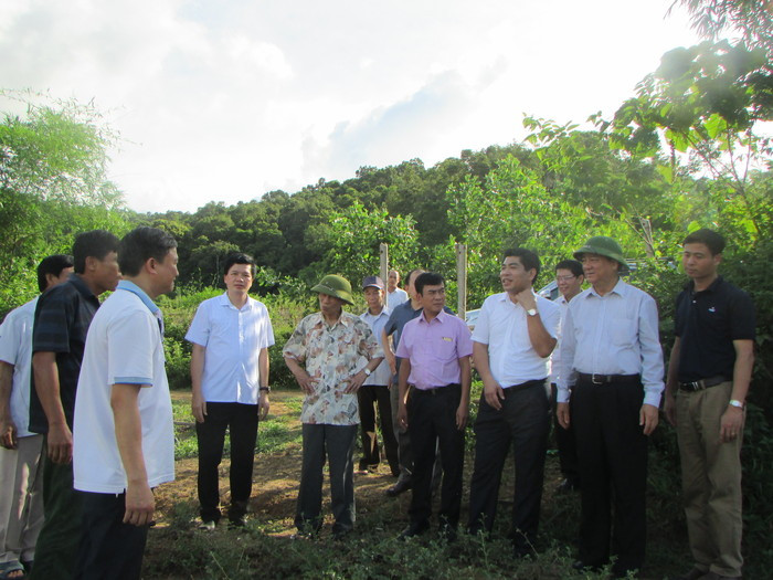 Đồng chí Trương Đình Tuyển và đoàn công tác thăm mô hình trồng dược liệu tại xã Chi Khê. Ảnh: Bá Hậu