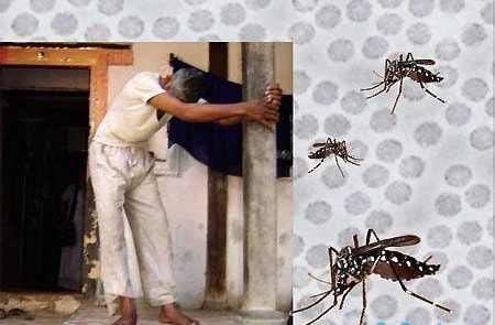 Sốt chikungunya gây đau khớp nặng kéo dài trong nhiều tuần (nguồn: internet)