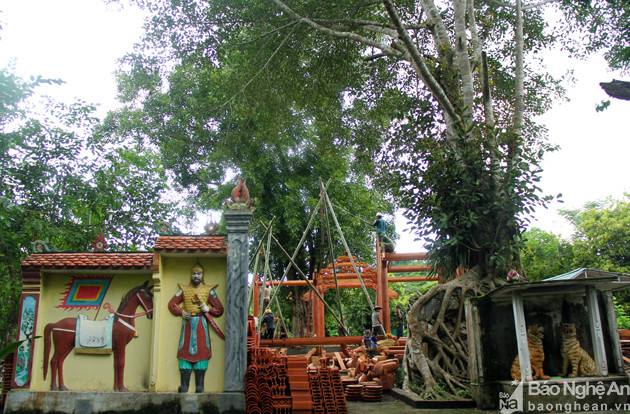 Trong khuôn viên Đền Vạn - Cửa Rào còn có hàng loạt cây cổ thụ khác chưa được công nhận cây di sản. 