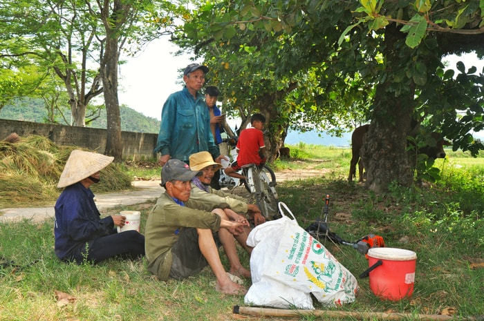 Bà con nông dân làng Khả Lãm, xã Nam Thượng (Nam Đàn) nghỉ mát dưới tán cây bàng trăm tuổi. Ảnh: Công Khang