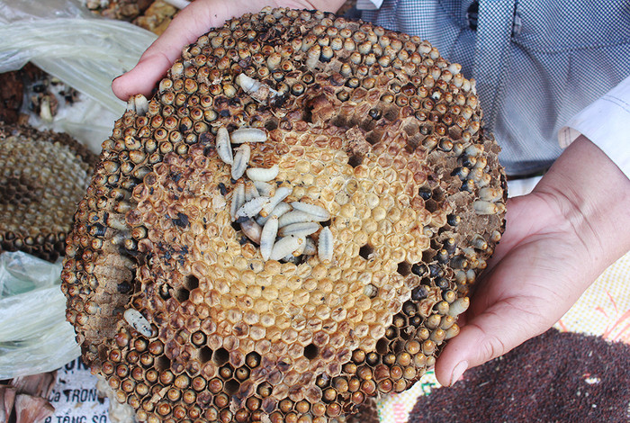 Đi chợ phiên bản Đồn sẽ dễ dàng tìm thấy nhộng ong, món ăn nhiều chất dinh dưỡng có giá 200.000 đồng/kg. Ảnh: Phương Thúy