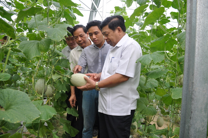 Đoàn công tác của tỉnh thăm vườn rau, củ, quả sạch công nghệ cao tại xã Hội Sơn (Anh Sơn). Ảnh: Thu Huyền