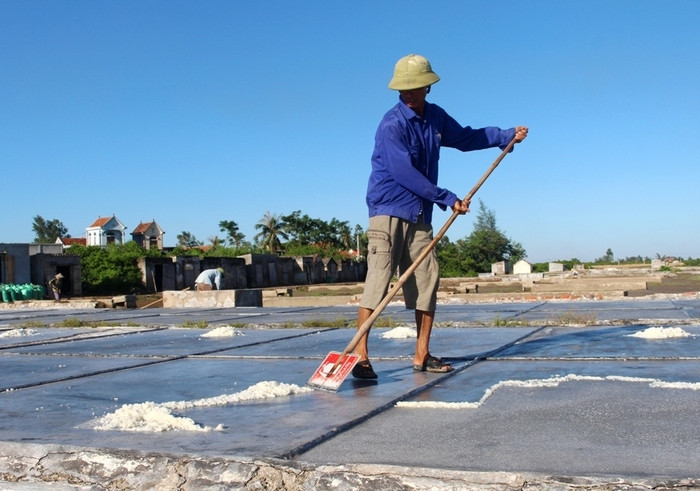 Thời tiết nắng nóng là điều kiện tốt nhất để bà con các xã vùng ven biển Quỳnh Lưu xuống đồng sản xuất muối. Công việc thu gom muối được diễn ra vào cuối chiều. Ảnh: Việt Hùng