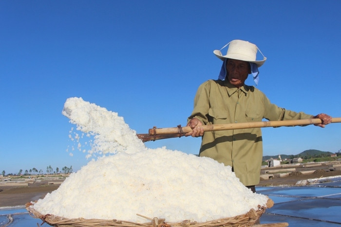 Dưới cái nắng chói chang buổi chiều, ông Bùi Văn Mai (79 tuổi ở xã An Hòa) đang khẩn trương nạo muối để thu gom. Với diện tích 120 m2, ngày hôm nay ông sản xuất được gần 200 kg muối, thu nhập hơn 350.000 đồng/ngày. Ảnh: Việt Hùng