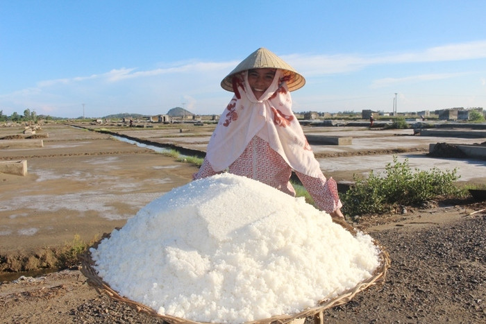 Theo bà con cho biết, năm nay giá muối được các dịch vụ thu mua cao hơn các năm trước; như năm ngoái giá 1.000 - 1.200 đồng/kg thì thời điểm hiện tại giá lên tới 1.800 - 2.300 đồng/kg (tăng 800 - 1.000 đồng/kg). Ảnh: Việt Hùng