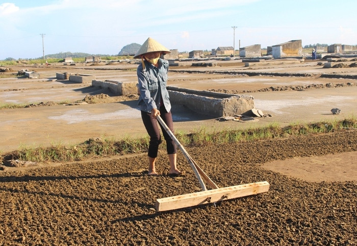 Muối được giá, bà con diêm dân tranh thủ trời nắng xuống đồng để sản xuất muối. Trong ảnh: Chị Nguyễn Thị Dung đang cào để lấy một phần đất cho vào ô chát lọc rồi lấy nước làm muối. Ảnh: Việt Hùng