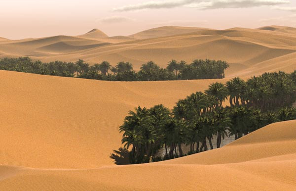 Trên cả lãnh thổ rộng lớn của Ả Rập Saudi, không hề có một dòng sông nào chảy qua. Nguồn nước ngọt của họ có được là từ các loài thực vật hoặc các bể nước ngầm dưới lòng đất.