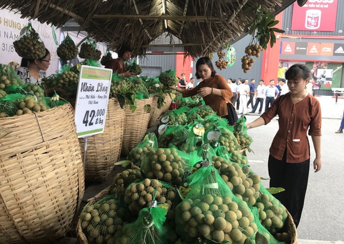 Đang mùa nhãn nên nhãn lồng Hưng Yên thường bị nhãn các địa phương khác nhái thương hiệu