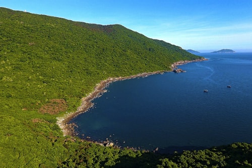 da-nang-se-huy-du-an-nhay-cam-quoc-phong-tai-son-tra-1