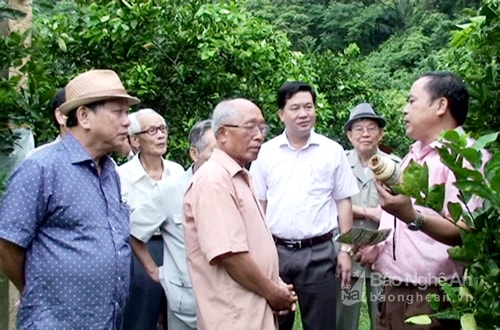 Đoàn cán bộ nguyên lãnh đạo tỉnh thăm quan mô hình trồng cam Bãi Phủ