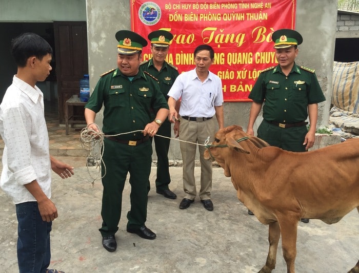 Lãnh đạo Đồn BP Quỳnh Thuận tặng bò cho gia đình giáo dân Hoàng Quang Chuyên xóm Mai Giang 1, giáo xứ Lộc Thủy, xã Quỳnh Bảng (Quỳnh Lưu). Ảnh: Ngọc Bích