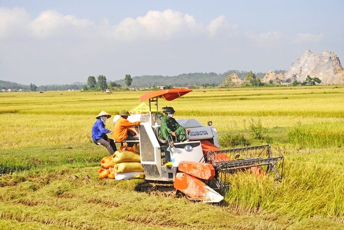 Vận động nhân dân xây dựng cánh đồng thu nhập cao ở huyện Hưng Nguyên. Ảnh: Minh Chi