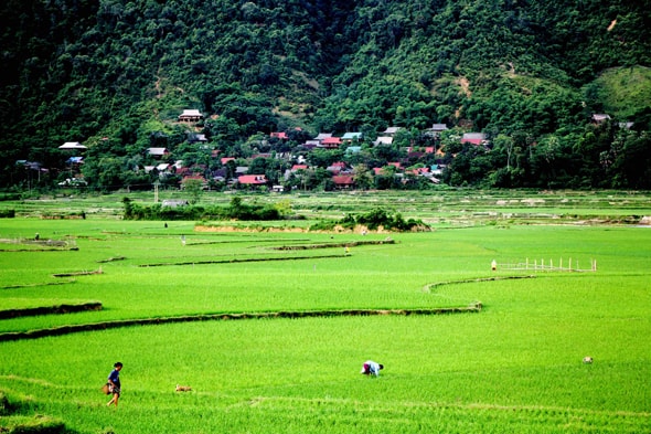 Bản Tỉn Pù, xã Quang Phong nơi có cây lộc vừng cổ thụ. Ảnh: Hùng Cường