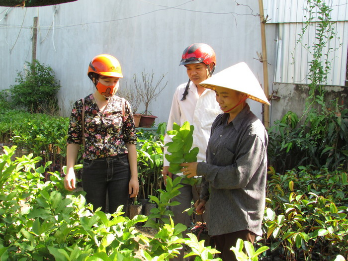 Người dân đến xem và chọn một số giống cây tại cơ sở kinh doanh cây giống ăn quả trên địa bàn TX. Thái Hòa. Ảnh: Minh Thái