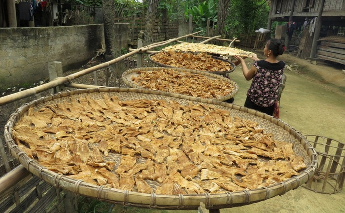 Măng phơi tự nhiên đảm bảo sạch, không sử dụng hóa chất trong quá trình làm. Ảnh: Bé Vinh