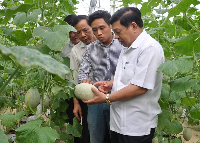 Lãnh đạo tỉnh kiểm tra tình hình sản xuất để tháo gỡ khó khăn cho doanh nghiệp. Ảnh: Việt Phương