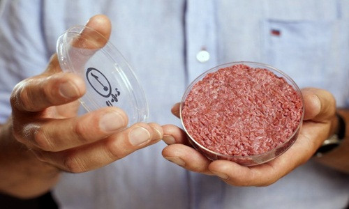 Công ty Memphis Meats đang tìm cách sản xuất thịt nhân tạo từ tế bào động vật. Ảnh: Reuters.