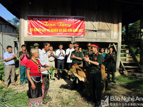 Ban chỉ huy quân sự huyện trao bò cho hộ nghèo Ngân Thị Kim