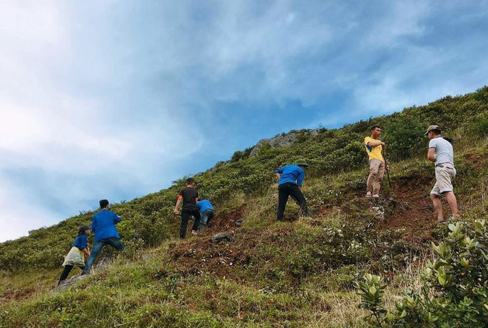 Đoàn viên thanh niên xã Hưng Thắng hăng hái tham gia tôn tạo dòng chữ đặc biệt trên núi Nhón. Ảnh: Huy Thư