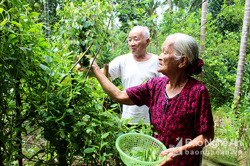 Vợ chồng ông Lê Đình Uyển đang sống giản dị trong ngôi nhà thuở hàn vi. Tuy cao tuổi, nhưng hai ông bà vẫn chăm làm vườn, trồng rau, cây cảnh…