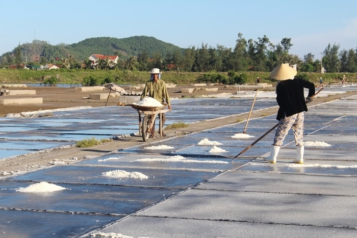 Trên đồng muối An Hòa (Quỳnh Lưu), được nắng nên các chị, các mẹ vẫn ra đồng sản xuất muối dù là ngày 2/9.