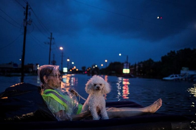 à một bà già và con chó con của cô dùng nệm không khí trôi nổi trên mặt nước lũ từ Tropical Storm Harvey trong khi chờ đợi để được giải cứu khỏi Đại lộ Scarsdale ở Houston, Texas, Hoa Kỳ ngày 27 tháng 8 năm 2017