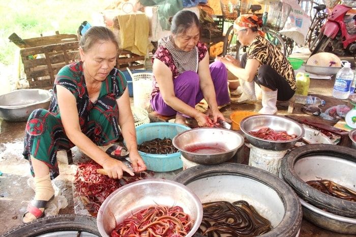 Ngoài hải sản biển, các món ăn đồng quê như lươn, ốc, ếch... cũng được người dân chọn mua nhiều trong dịp lễ 2/9.Ảnh: Việt Hùng