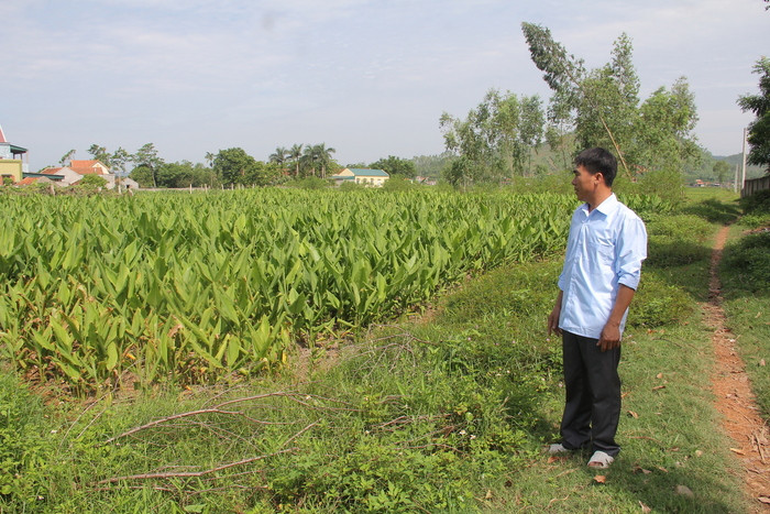 2 thửa đất nông nghiệp tại cánh đồng Tàu Voi đã bị ông Nguyễn Sỹ Đức - Trưởng thôn 21 bán. Ảnh: L.B
