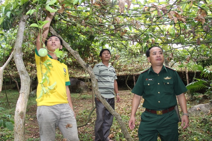 Bí thư Chi bộ bản Pà Kỉm Lê Văn Đại (giữa) thăm mô hình kinh tế của đảng viên trong chi bộ. Ảnh: Khánh Ly