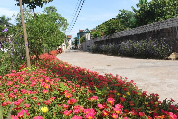 Những bãi đất trống, cỏ rác mọc um tùm nay đã trở thành những luống hoa đỏ rực, sắc thắm với các loại hoa mười giờ, hoa sam, hoa tứ mùa... Ảnh: Việt Hùng