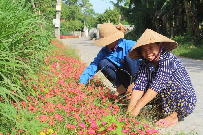 Trước vẻ đẹp “khó cưỡng” của hoa mười giờ, nhiều chị em phụ nữ khi rảnh rỗi công việc đều tập trung lại để chăm chút từng luống hoa trước ngõ nhà mình. Ảnh: Việt Hùng