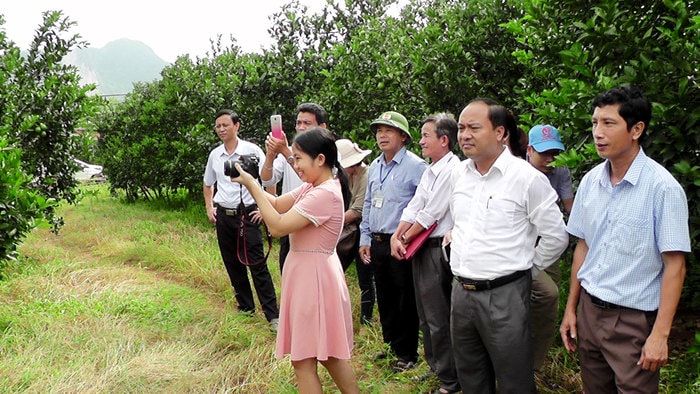 Đoàn công tác Trường Chính trị tỉnh cùng lãnh đạo huyện Yên Thành thăm trại cam Thiên Sơn (xã Đồng Thành, Yên Thành). Ảnh: Thái Dương