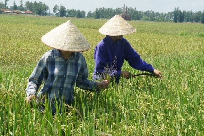Từ khi bố mẹ qua đời, Hoàng và chị gái trở thành chỗ dựa của người em trai út.