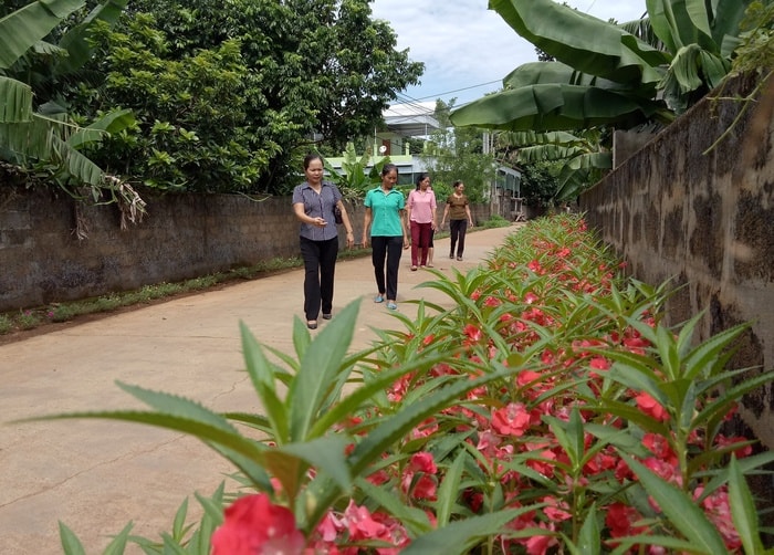 Phong trào này được Hội Liên hiệp phụ nữ xã Tây Hiếu, TX.Thái Hòa triển khai từ đầu năm 2017. Ban đầu chỉ tổ chức làm điểm tại một số chi hội phụ nữ xóm, đến nay phong trào trồng hoa được 20/20 xóm chi hội phụ nữ trên địa bàn xã triển khai. Ảnh: Quang Huy