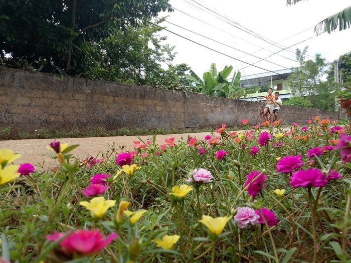 Bê tông hóa đường nông thôn nhưng nơi đây vẫn giữ được nét thanh bình làng quê vốn có. Ảnh: Quang Huy