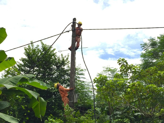 Tiến hành chặt tỉa các cành cây trên hành lang lưới điện để đảm bảo an toàn trong mùa mưa bão. Ảnh: Hà Thảo