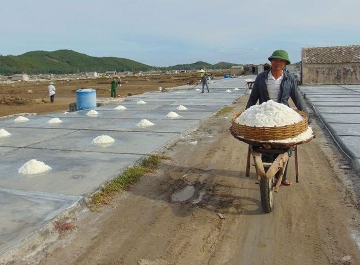 Anh Hồ Sỹ Liệu ở thôn Đức Long, xã Quỳnh Thuận (Quỳnh Lưu) phấn khởi thu hoạch muối. Ảnh: Như Thủy