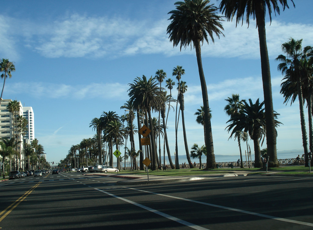 Đại lộ Santa Monica (California, Mỹ): Đại lộ Santa Monica là con đường toát lên trọn vẹn vẻ đẹp mơ mộng đầy nắng gió của California. Con đường được bao phủ bởi cây cọ, hai bên rải rác các cửa hàng, quán cà phê, quán bar và nhà hàng. Ảnh: Fieldnotes-la.