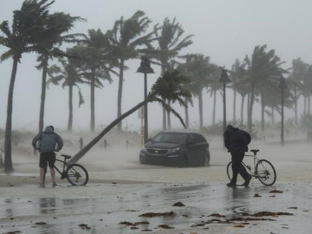 Hai người đàn ông chật vật đi trong gió to và mưa lớn do bão Irma gây ra./.