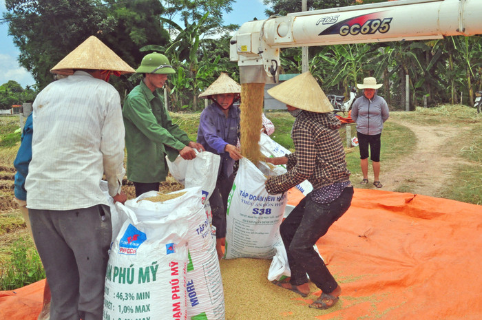 Luân chuyển về xã, nhiều cán bộ chỉ đạo cơ sở đẩy mạnh phát triểnsản xuất, đưa cơ giới vào đồng ruộng. Ảnh: P.V